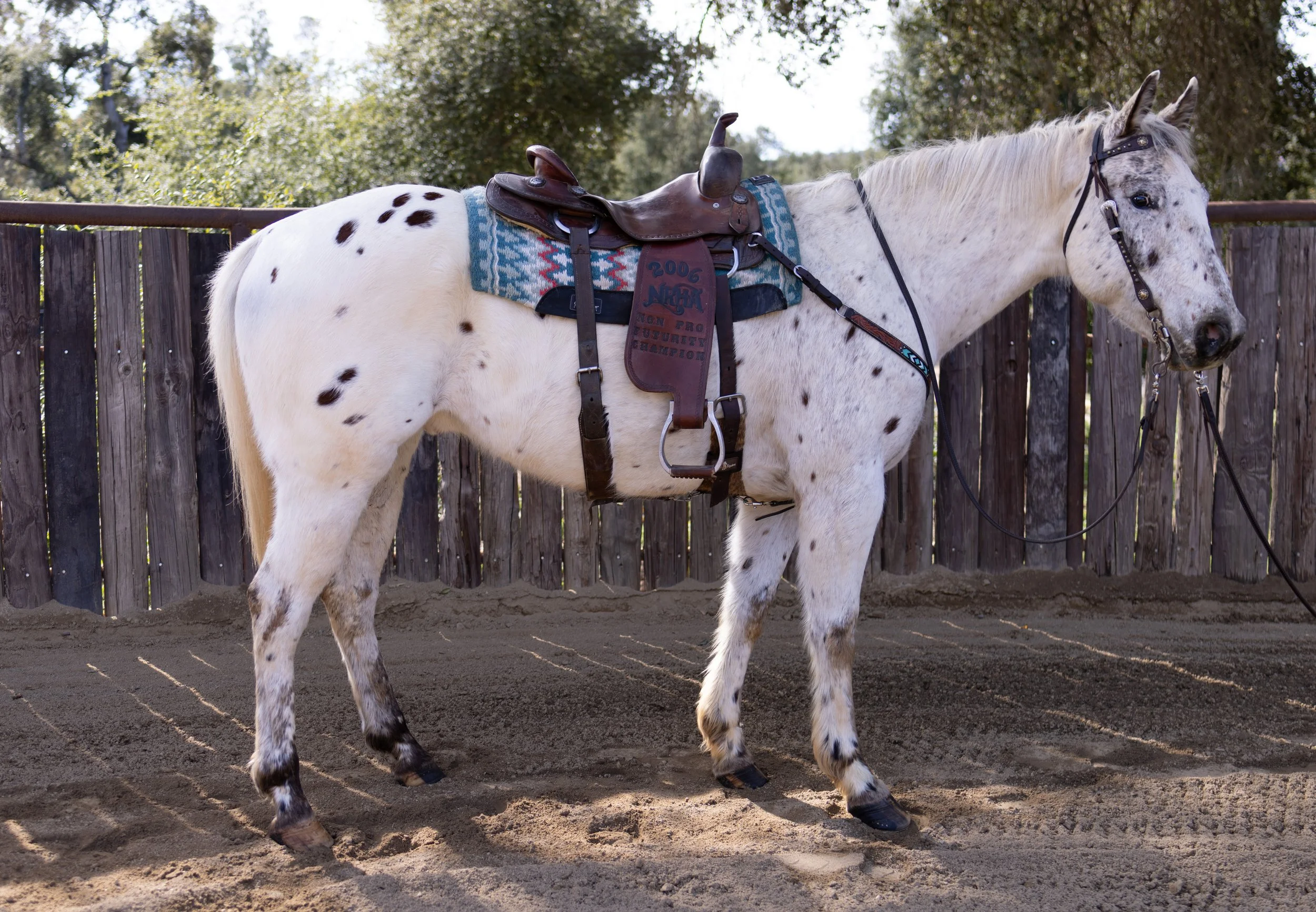chief+saddle+right